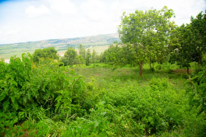 Kicukiro / Gahanga / Nunga