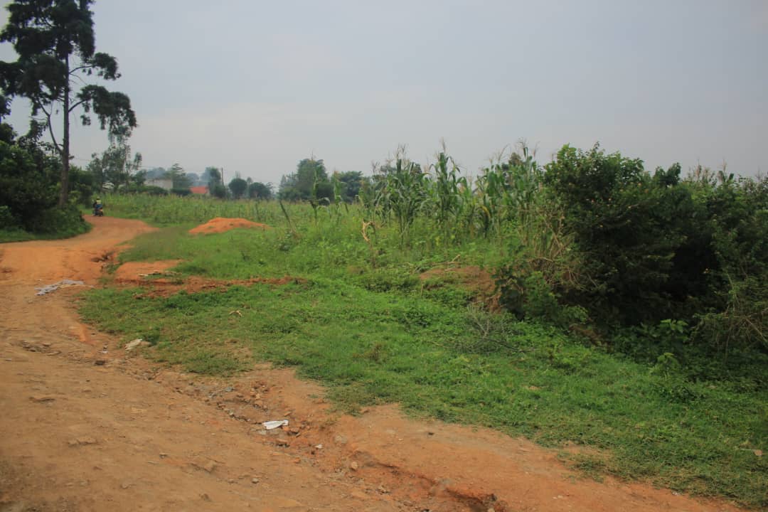 Agricultural plot