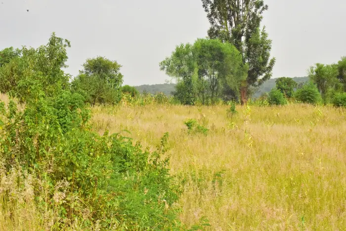 Agricultural plot for sale bugesera gashora
